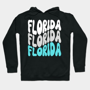 Retro Florida Usa State Hoodie